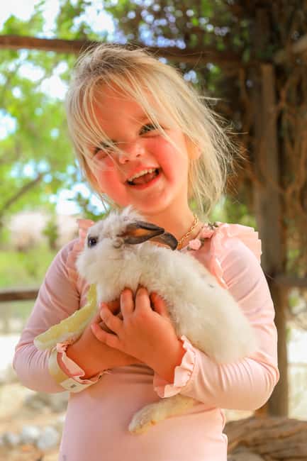 Los Cabos: Animal Encounter & Aqua Park Adventure - Wild Canyon’s Kingdom: what this animal encounter is really like