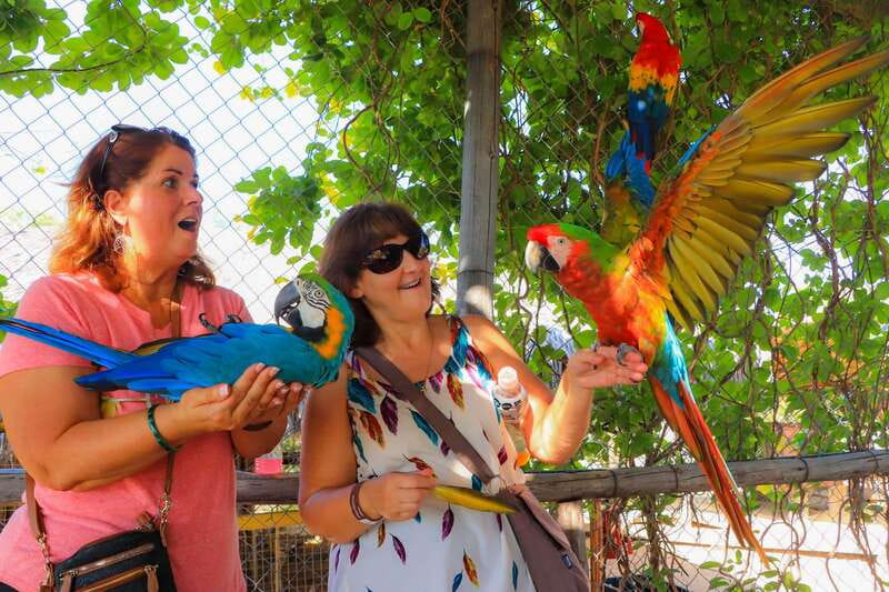 Los Cabos: Animal Encounter & Aqua Park Adventure - Guided wildlife viewing with a bilingual biologist