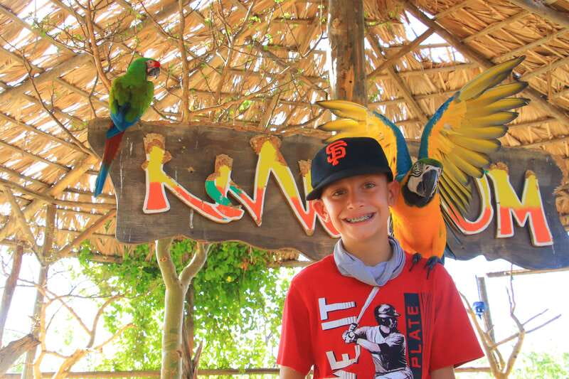 Los Cabos: Animal Encounter & Aqua Park Adventure - Aqua park time: swimming, but keep it realistic