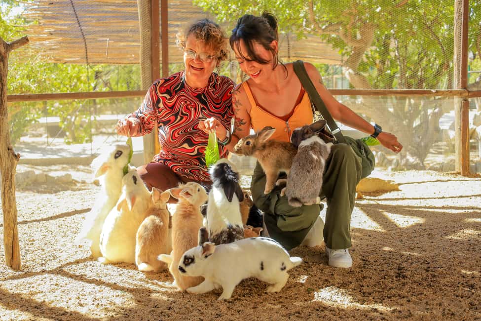 Los Cabos: Animal Encounter & Aqua Park Adventure - Price and logistics: where the real total comes from