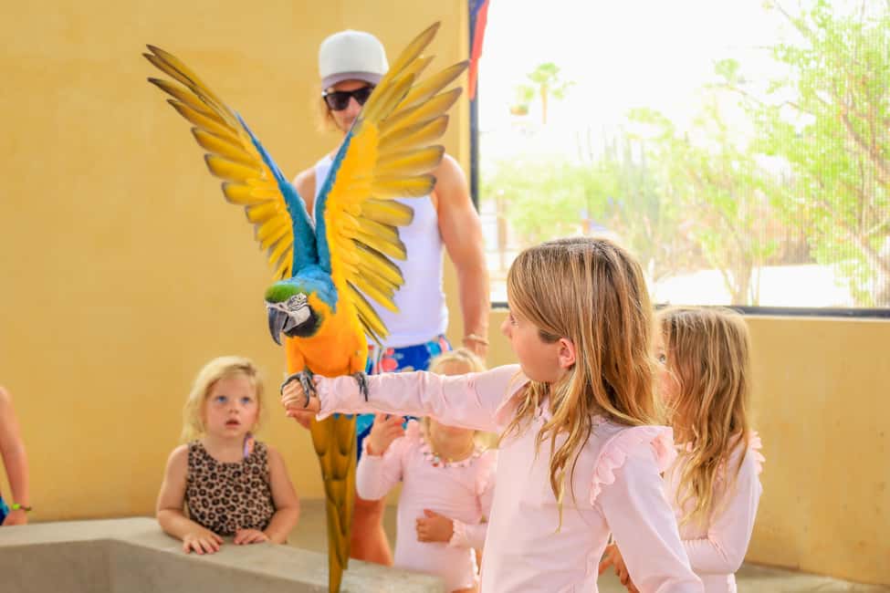 Los Cabos: Animal Encounter & Aqua Park Adventure - What to pack and how to avoid common annoyances