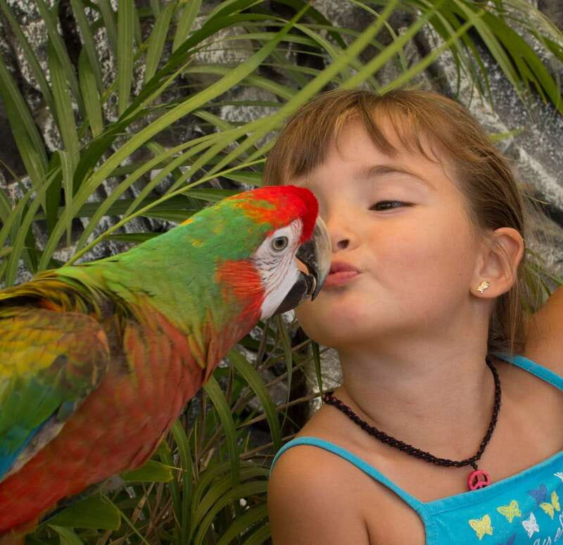 Los Cabos: Animal Encounter & Aqua Park Adventure - Who should book this Los Cabos animal encounter (and who should skip)