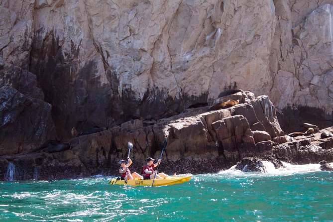 Los Cabos Arch and Playa del Amor Tour by Glass Bottom Kayak - Price and Value: What $95 Really Buys in Cabo