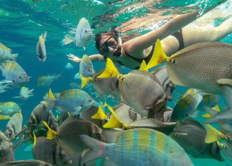 Los Cabos Arch & Lover’s Beach Tour + Snorkeling Tour - Photo Stops and the Underwater Picture Package