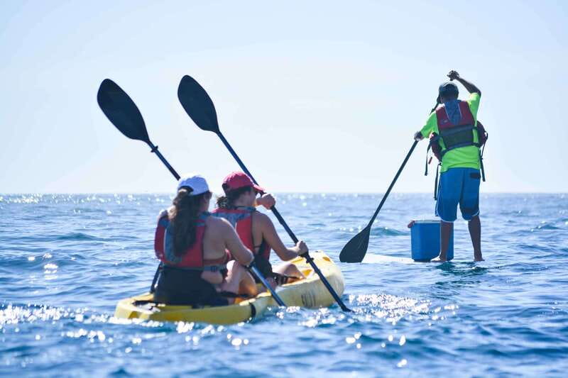 Los Cabos Arch & Playa del Amor Tour by Glass Bottom Kayak - Around the Arch: wildlife above and below the same landmark