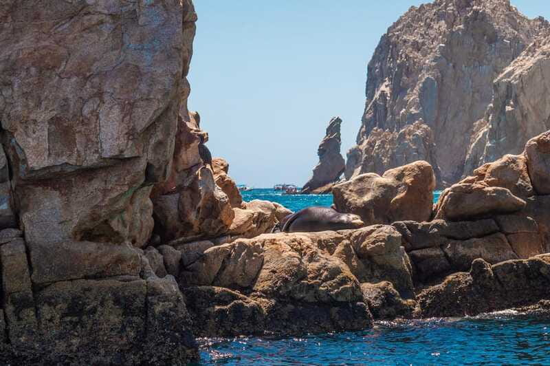 los cabos arch tour & drinks +snorkel tour - Meet the team: why Haziel and Javier come up so often