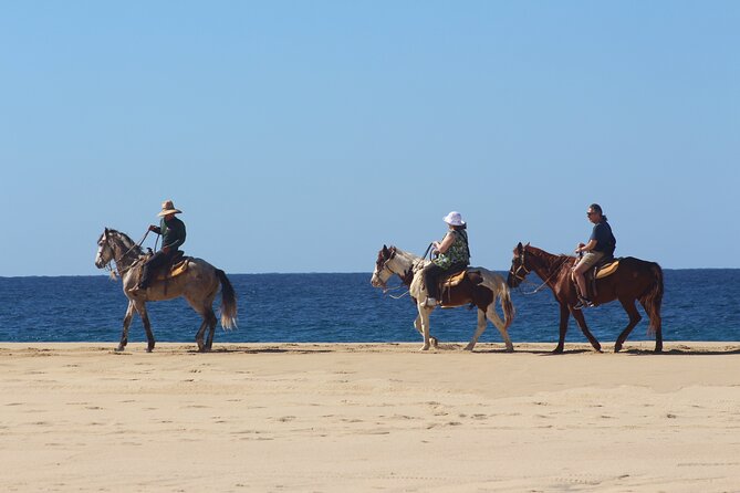 Los Cabos ATV and Pacific Horseback Riding Combo Tour - Desert to ocean: what to watch for along the route