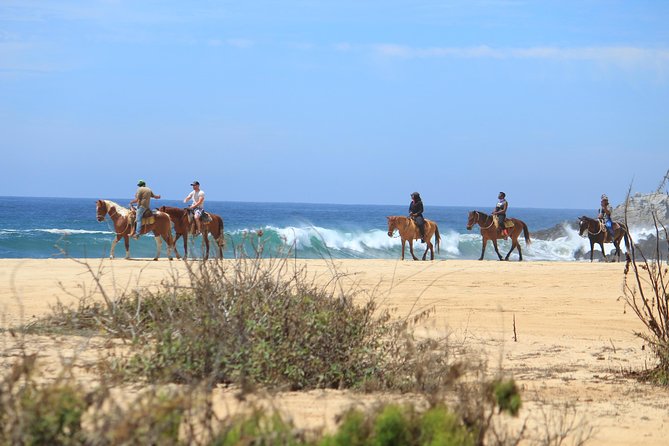Los Cabos ATV and Pacific Horseback Riding Combo Tour - Where you’ll start: Migriño Beach pickup and getting to the ranch