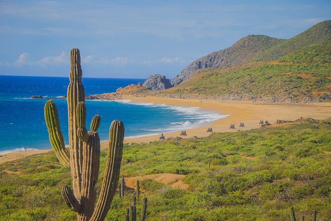 Los Cabos ATV Tour Double Rider - Key highlights to know before you go