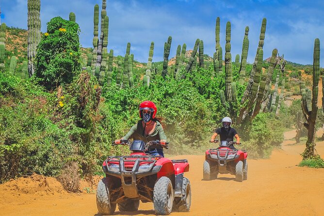 Los Cabos ATV Tour Double Rider - Price and value: how the math works for a double rider