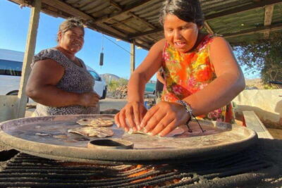 Los Cabos: Azteca Cactus Taco Farm to Table Cooking Class - Getting to the Farm: Pickup, Distance, and How the Timing Feels