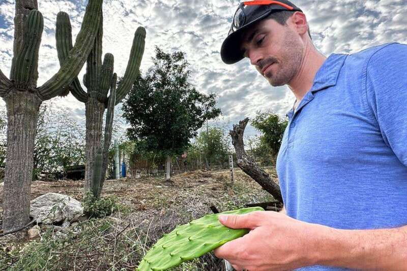 Los Cabos: Azteca Cactus Taco Farm to Table Cooking Class - Farm-to-Table Dinner with the Ranchero Family
