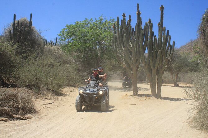 Los Cabos Beach & Desert Tour in Automatic ATV + Tequila Tasting - Transportation and Timing: Hotel Pickup, Then Waiting, Then Riding