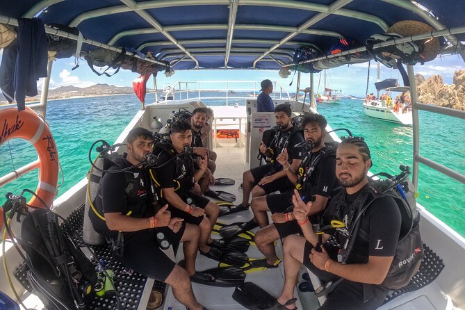 Los Cabos Beginner Scuba Dive Experience - Sea of Cortez Time: Wildlife Spotting Without the Headache
