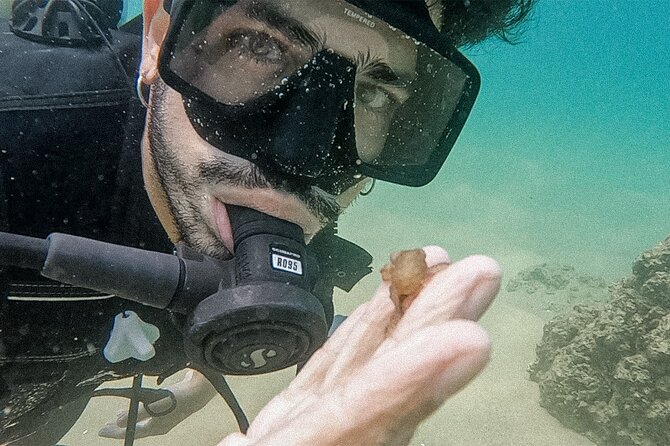 Los Cabos Beginner Scuba Dive Experience - Boat Crew and Under-Water Support: Captain Matters