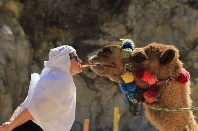 Los Cabos: Camel Ride in the Canyon & Thrilling Water-Slides - Entering El Tule Canyon’s Desert Oasis World