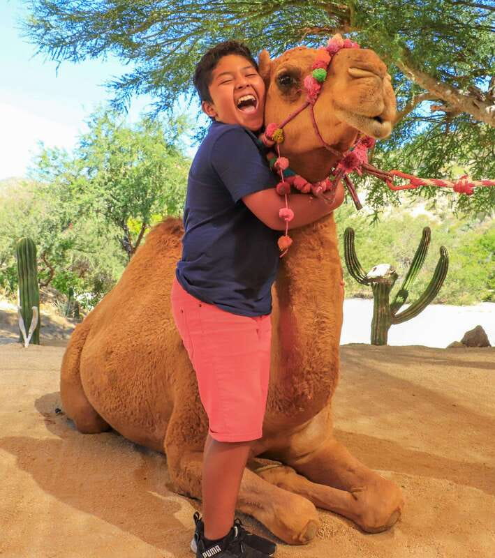 Los Cabos: Camel Ride in the Canyon & Thrilling Water-Slides - Final Call: Should You Book Camel Ride in the Canyon and Water Fun?