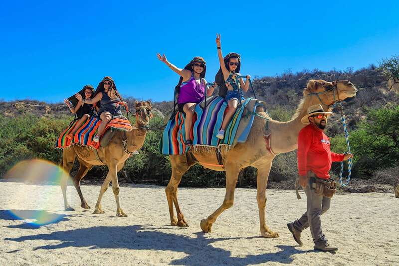 Los Cabos: Camel Ride in the Canyon & Thrilling Water-Slides - Lion’s Den Restaurant: Quesadillas, Guacamole, and Your Drink Choice