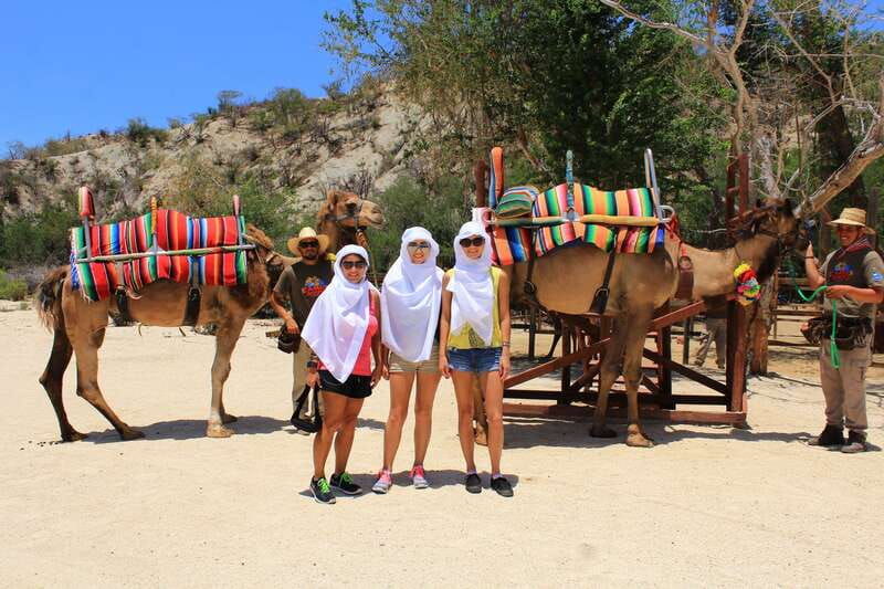 Los Cabos: Camel Ride in the Canyon & Thrilling Water-Slides - Water Fun and Thrills: Swimming Breaks and Slides in the Mix