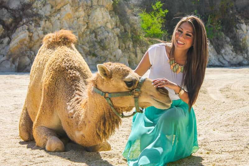 Los Cabos: Camel Ride in the Canyon & Thrilling Water-Slides - Price and Logistics: What $115 Covers and What Costs Extra