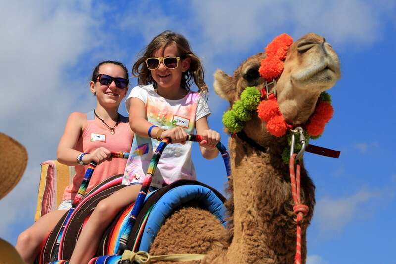 Los Cabos: Camel Ride in the Canyon & Thrilling Water-Slides - Who This Tour Suits (and Who Should Skip It)