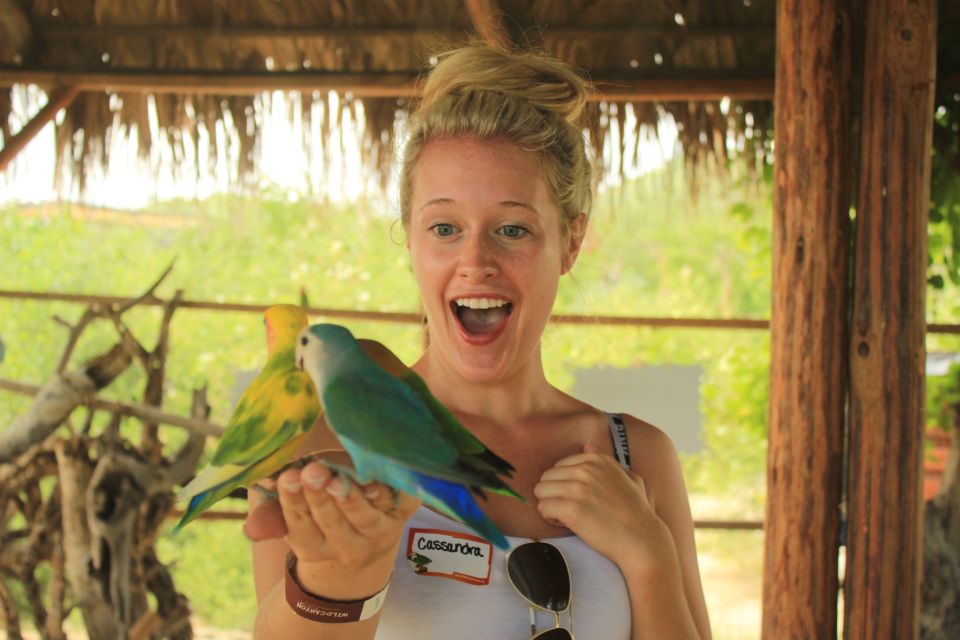 Los Cabos: Camel Ride in the Canyon & Thrilling Water-Slides - What to Bring (So You Don’t Melt or Get Frustrated)