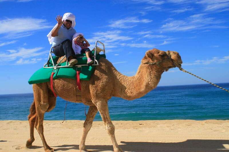 Los Cabos: Camel Ride Safari with Lunch and Tequila Tasting - Lunch: burrito-style comfort and flavored water that actually helps