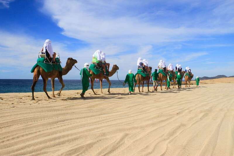 Los Cabos: Camel Ride Safari with Lunch and Tequila Tasting - Tequila tasting course: history, production, and how to sip right