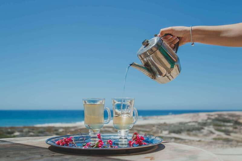 Los Cabos: Camel Ride Safari with Lunch and Tequila Tasting - Price and logistics: where $140 makes sense (and where it doesn’t)