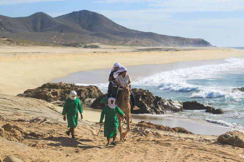 Los Cabos: Camel Ride Safari with Lunch and Tequila Tasting - Best fit: who will love this Los Cabos safari