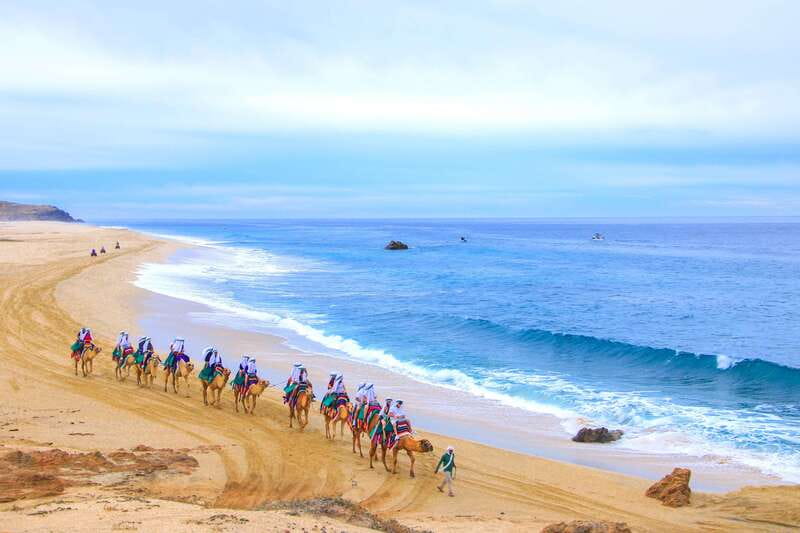 Los Cabos: Camel Ride Safari with Lunch and Tequila Tasting - Should you book this camel ride safari?