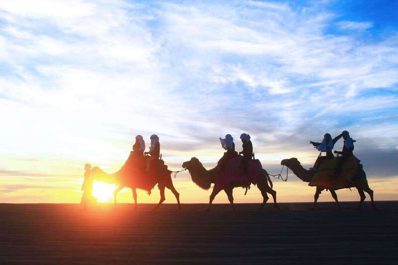 Los Cabos: Camel Ride Safari with Lunch and Tequila Tasting - The camel ride by the Pacific: what you’ll actually feel and see