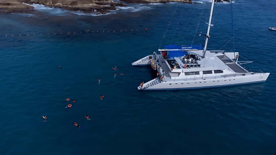 Los Cabos Catamaran: Iconic Sunset Cruise with Drinks & DJ - The Lily Pad Mat: A Small Add-On That Changes the Mood