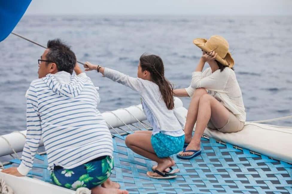Los Cabos: Catamaran Whale Watching Cruise - Onboard Comfort: Meal, Snacks, and the Open Bar Factor
