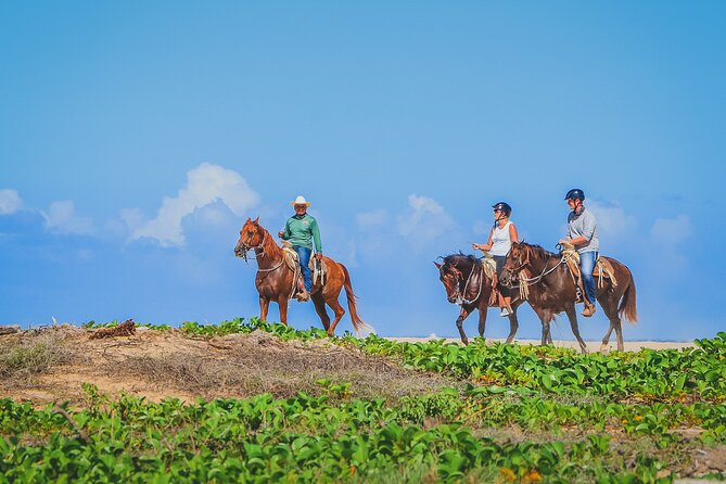 Los Cabos Combo: ATV + Horseback Riding - The Guided Desert Route: Dry Washes, Canyons, and Pacific Views