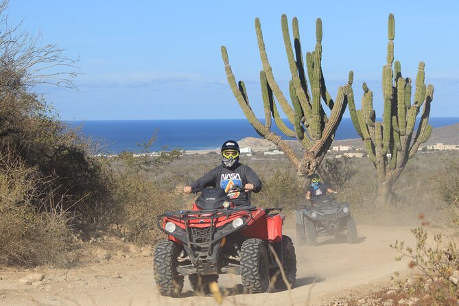 Los Cabos - COMBO Horseback Riding & ATV Tour - Why This Cabo Combo Works: ATVs Plus a Real Horse Ride