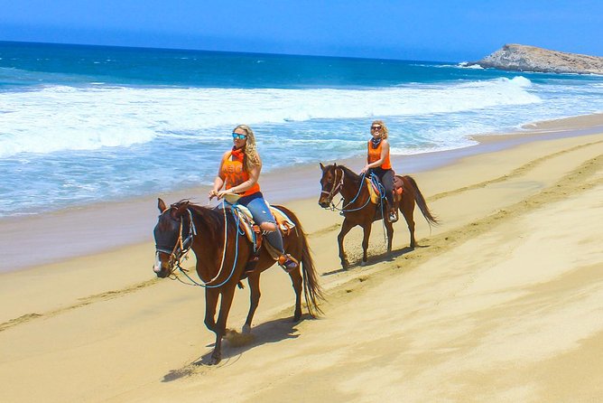 Los Cabos - COMBO Horseback Riding & ATV Tour - Stop at Tour Adventures Park: Lions, Gear, and a Luxury ATV Setup