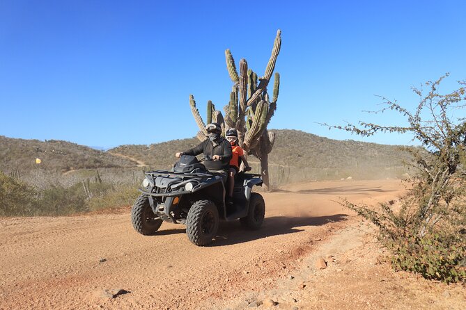 Los Cabos - COMBO Horseback Riding & ATV Tour - Peaceful Beach Horseback on Playa Migriño: What Changes After the ATV