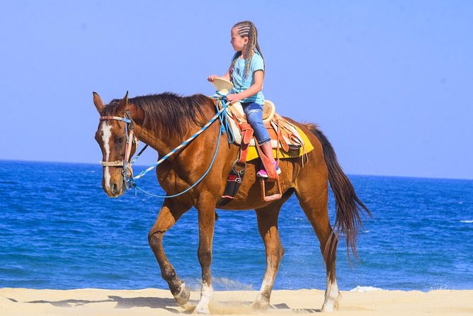 Los Cabos - COMBO Horseback Riding & ATV Tour - Tour Logistics in Cabo San Lucas: Pickup, Park, and Timing