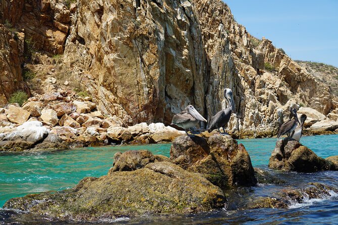 Los Cabos Deluxe City Tour: San Jose, San Lucas and The Arch - Plaza Mijares: a quick taste of the Historic District