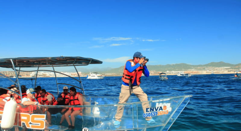 Los Cabos: Get to know the arch on the iconic transparent boat tour - Price and Timing: Is $44 for an Hour Worth It?
