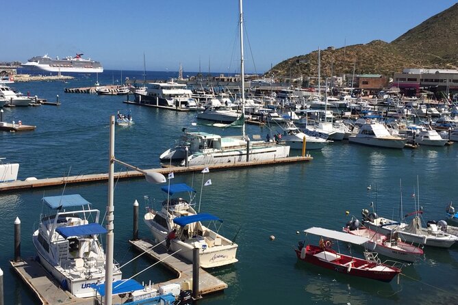 Los Cabos Half-Day Tour Discovering San Jose and San Lucas - Price And Value: Why This One Works (And When It Might Not)
