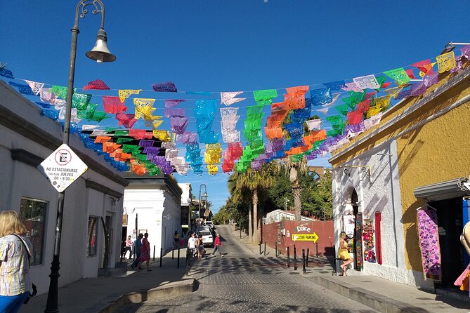 Los Cabos Half-Day Tour Discovering San Jose and San Lucas - Misión San José del Cabo: A Mission Stop With Real Timeline