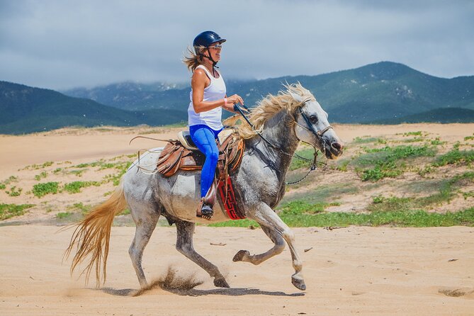 Los Cabos Horseback Riding - The route: where Mexican Federal Highway 19 fits into the day