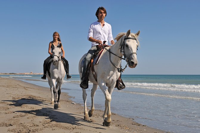 Los Cabos Horseback Riding - Playa Migrino and Sea of Cortez: the views are the whole point