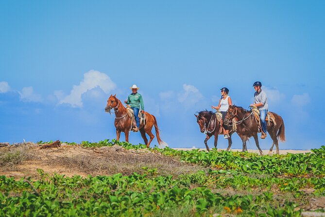 Los Cabos Horseback Riding - How guides shape your ride: patient, attentive, and hands-on