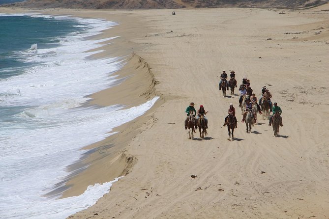 Los Cabos Horseback Riding - Safety basics and physical requirements you should take seriously