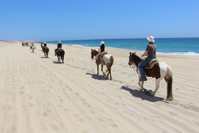 Los Cabos Horseback Riding - When extra fees, water, and beach access change your day