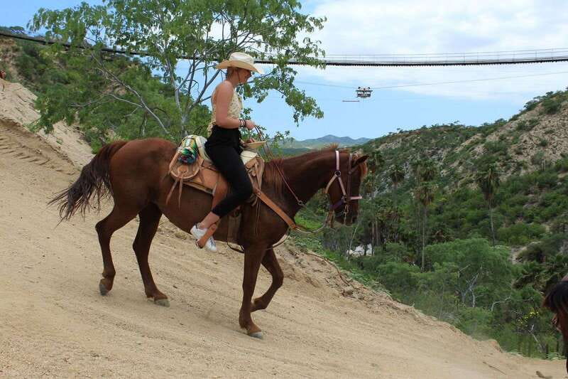 Los Cabos: Horseback Riding in Canyon a Mexican Experience - Key Takeaways Before You Go