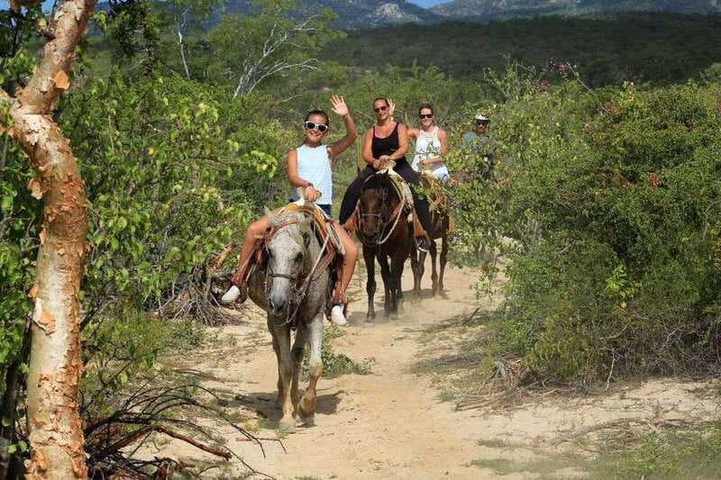 Los Cabos: Horseback Riding in Canyon a Mexican Experience - Animal Sanctuary Time: Where the Experience Really Clicks